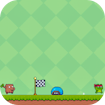 Frog Run